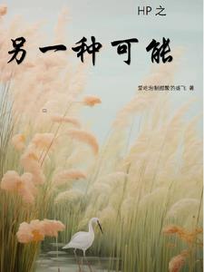 HP之另一种可能